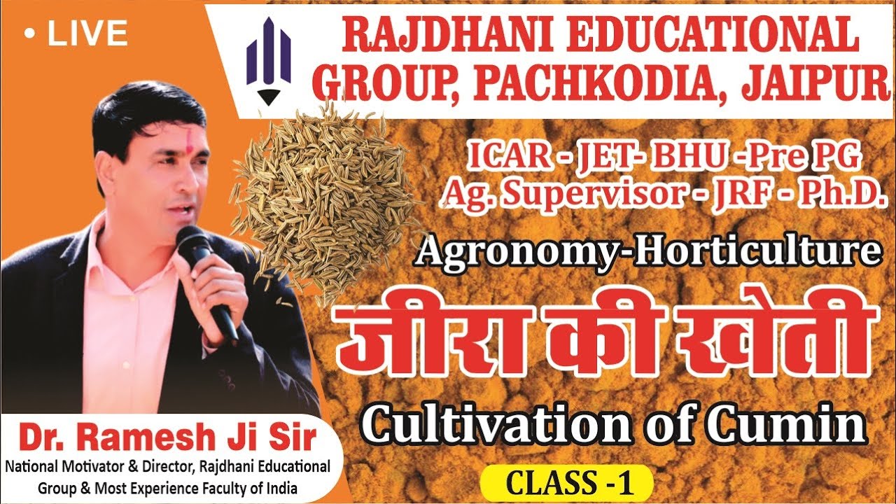 [1] जीरा | जीरे की खेती | Cultivation of Cumin | Jeera Crop | Spices | मसाला | मसाले | ICAR/JET/BHU