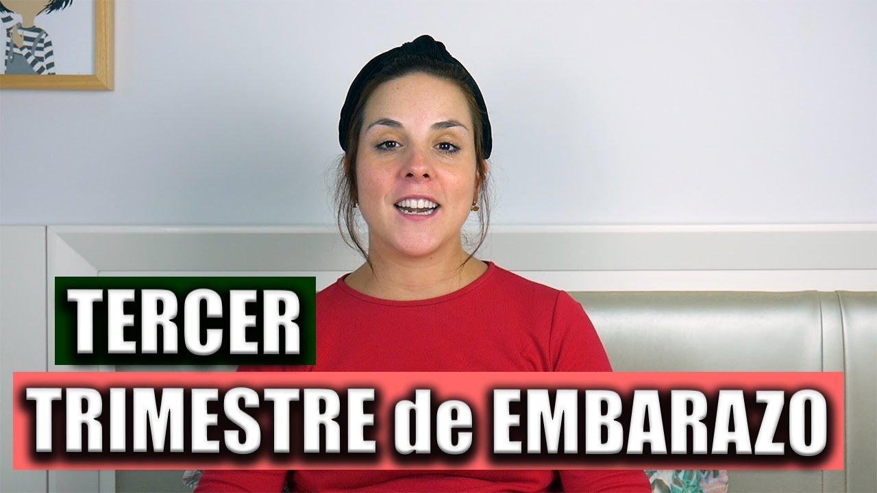 Tercer trimestre de Embarazo | ¿Qué pruebas se realizan? Consejos para las semanas antes del parto