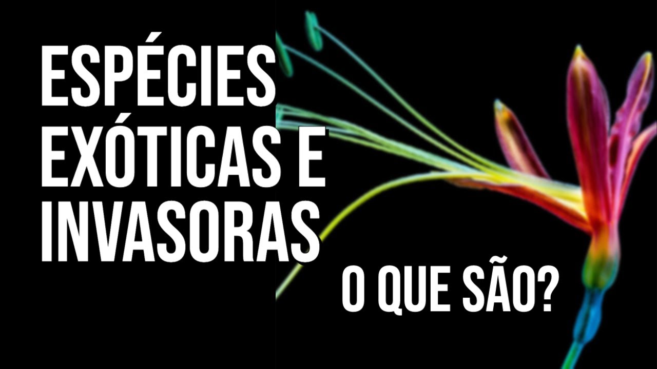 O QUE SÃO ESPÉCIES EXÓTICAS E ESPÉCIES INVASORAS? | MEIO AMBIENTE | Marcela Miranda