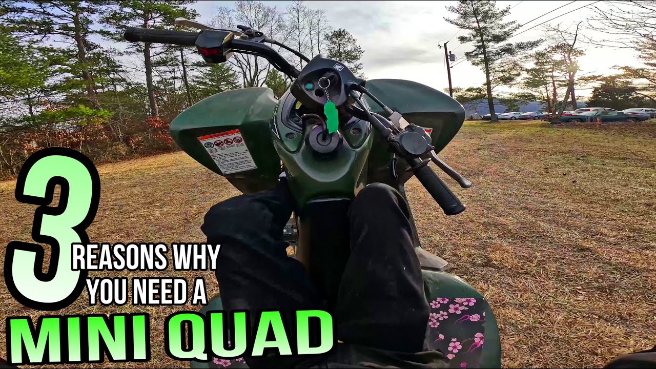 3 Reasons To Get A Mini Quad For Wheelies