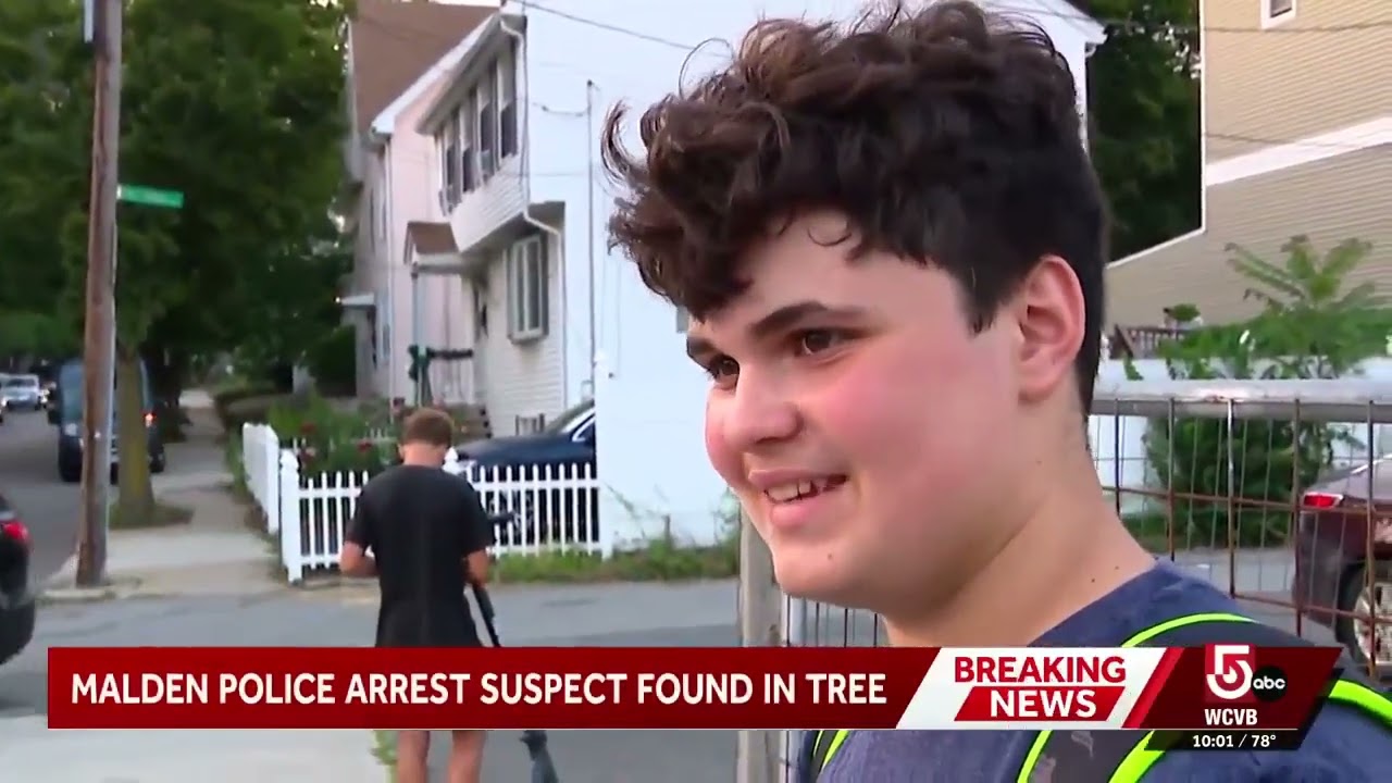 Man found hiding in tree after leading Mass. police on hourlong chase
