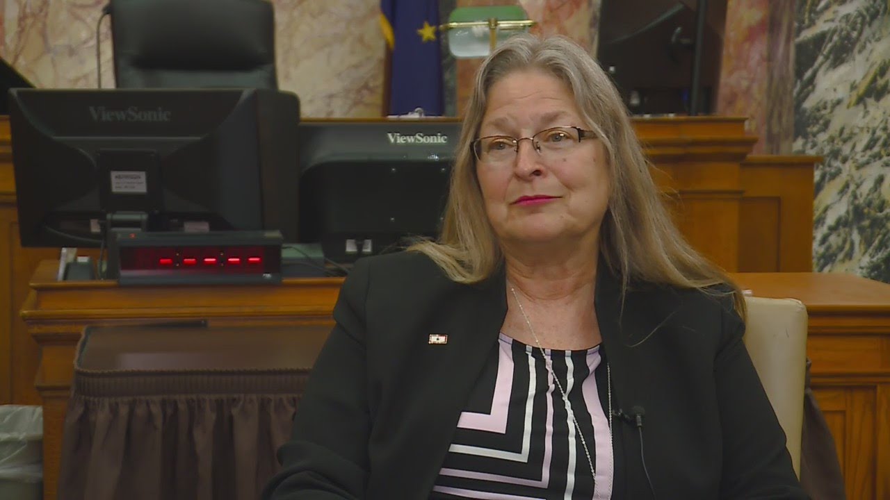 Judge Fran Gull on Red Flag law in Allen County