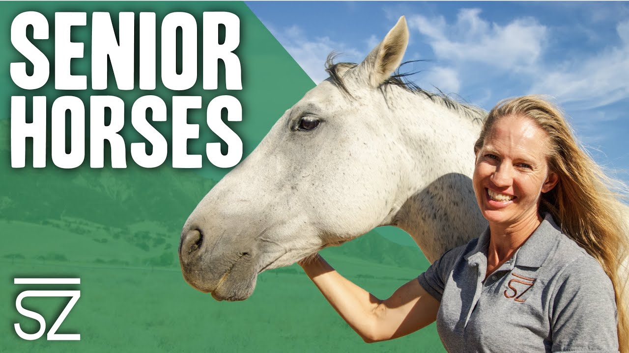 How We Help Our Senior Horses Feel Young & Stay Healthy