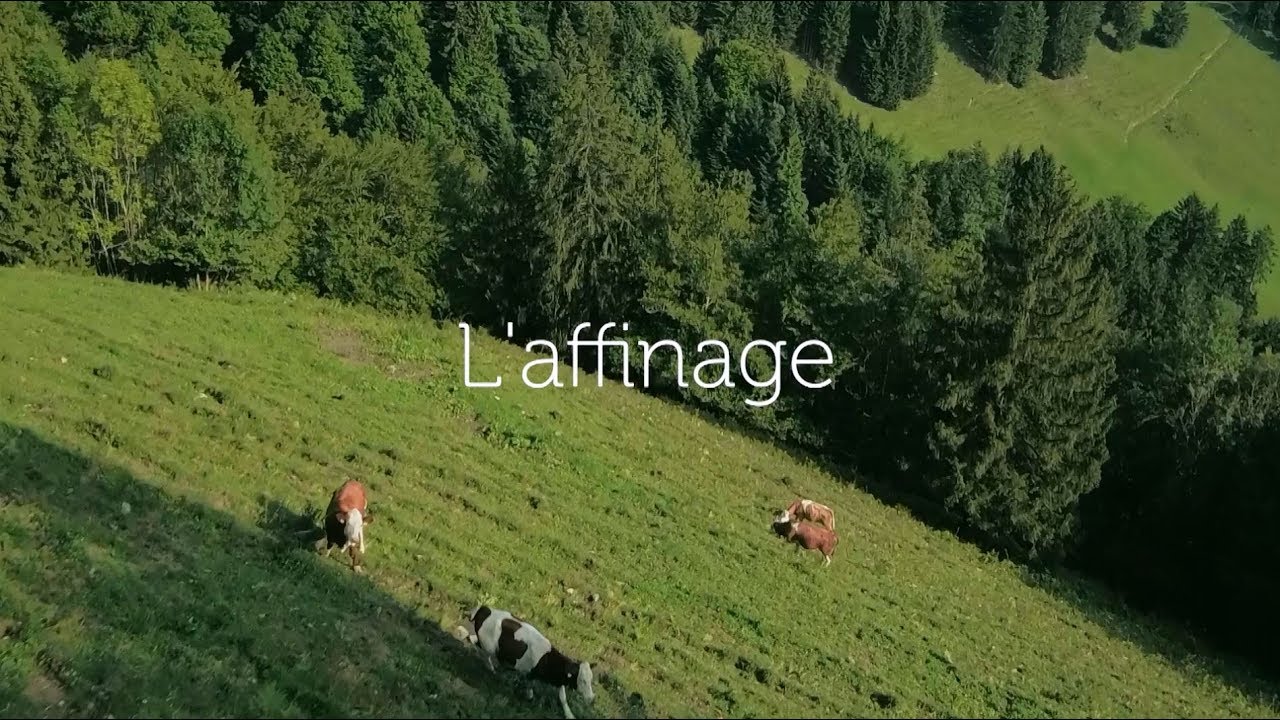 Terre de Traditions - l'affinage