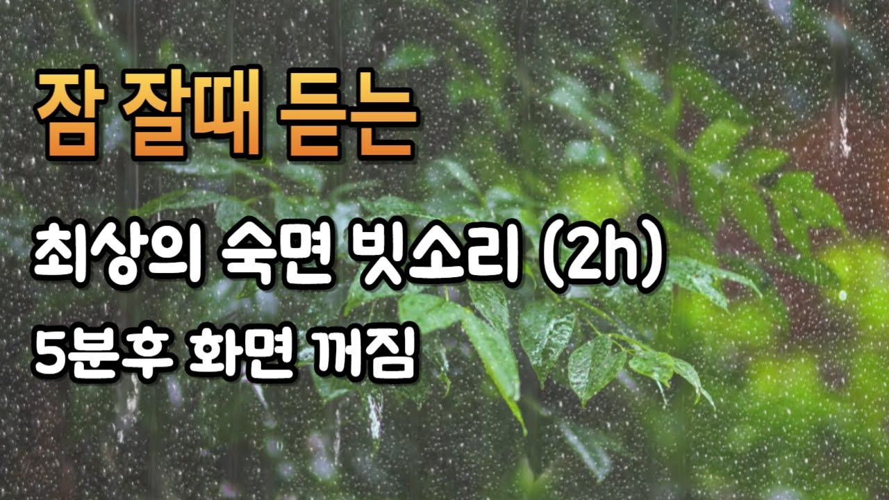 잠이 잘오는 숲속의 빗소리 l  5분후 어두운 화면