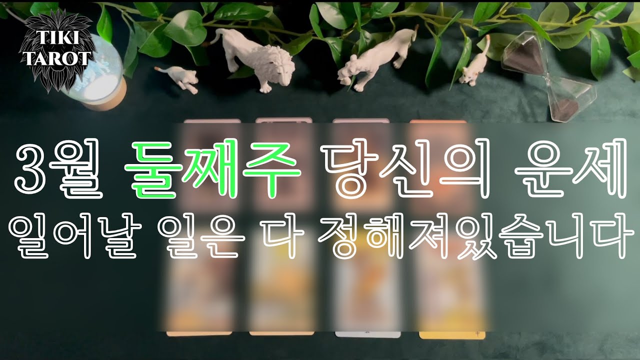 [타로] 3월 둘째주 운세 | 이미 정해진 일✨ 연애·솔로·직장·금전·대인관계·조언