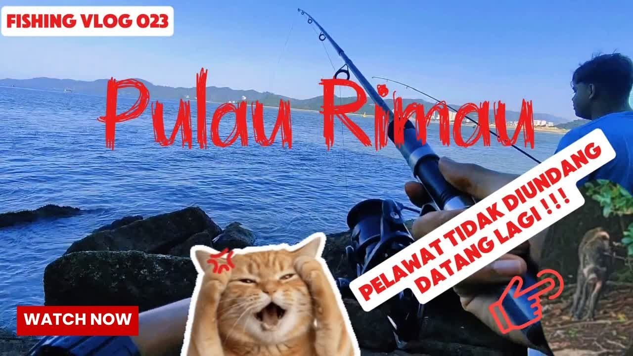 Pulau Rimau Suprise Visitor 🐗 #fishing #malaysia #penang #fishinglife #angler #shimano #casting