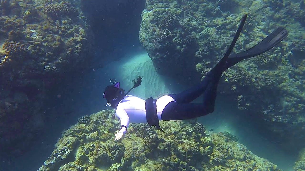 2503 Kahe Freedive