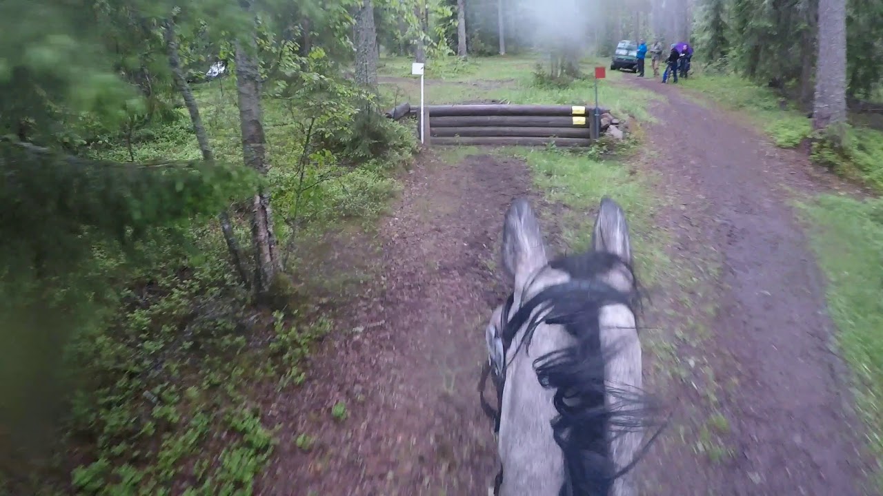 Petit Prince 26.5.2019 GoPro Ypäjä 100cm