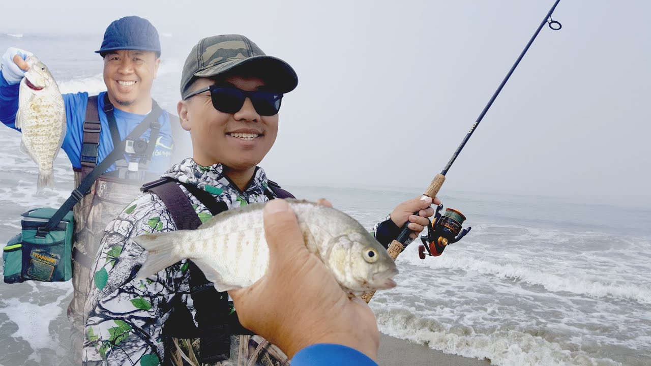 Morro Bay:  A Good Day of Surf Perch Fishing!