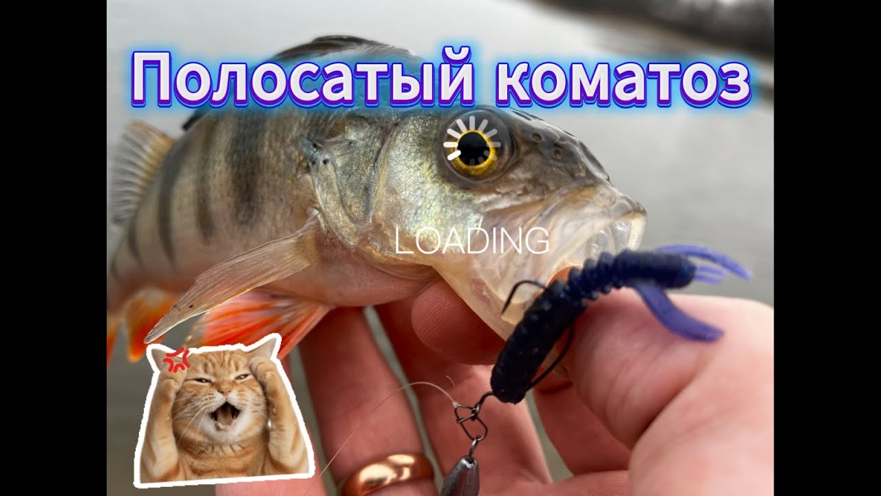 Москва река. Братеево. Зимний микроджиг