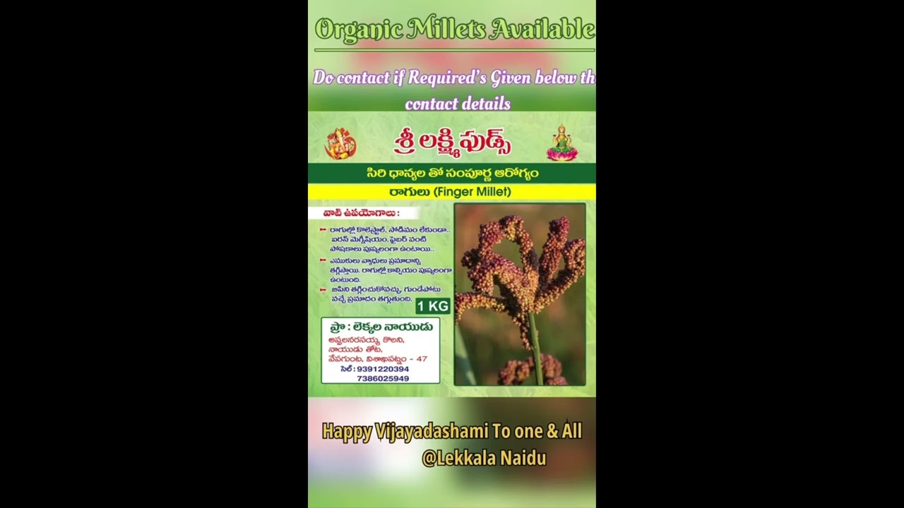 Sree Lakshmi Foods(Natural and Organic)
