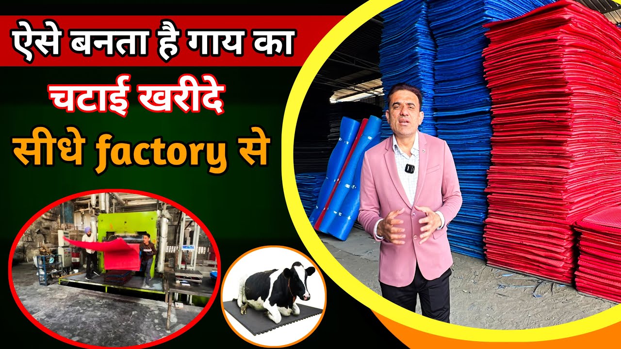 ऐसे बनता है गाय का चटाई//खरीदे सीधे factory से Bharat Mat#bharatmat#mat