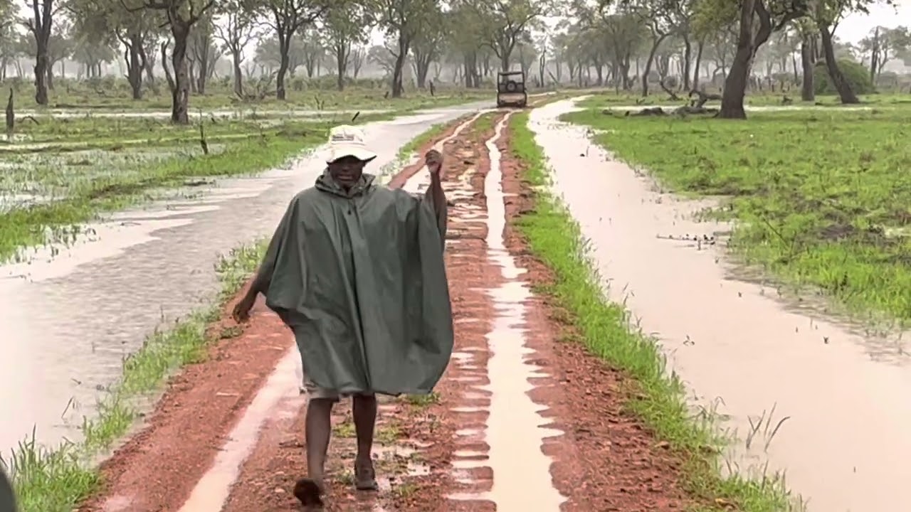 And then the Rains Came-South Luangwa, Zambia
