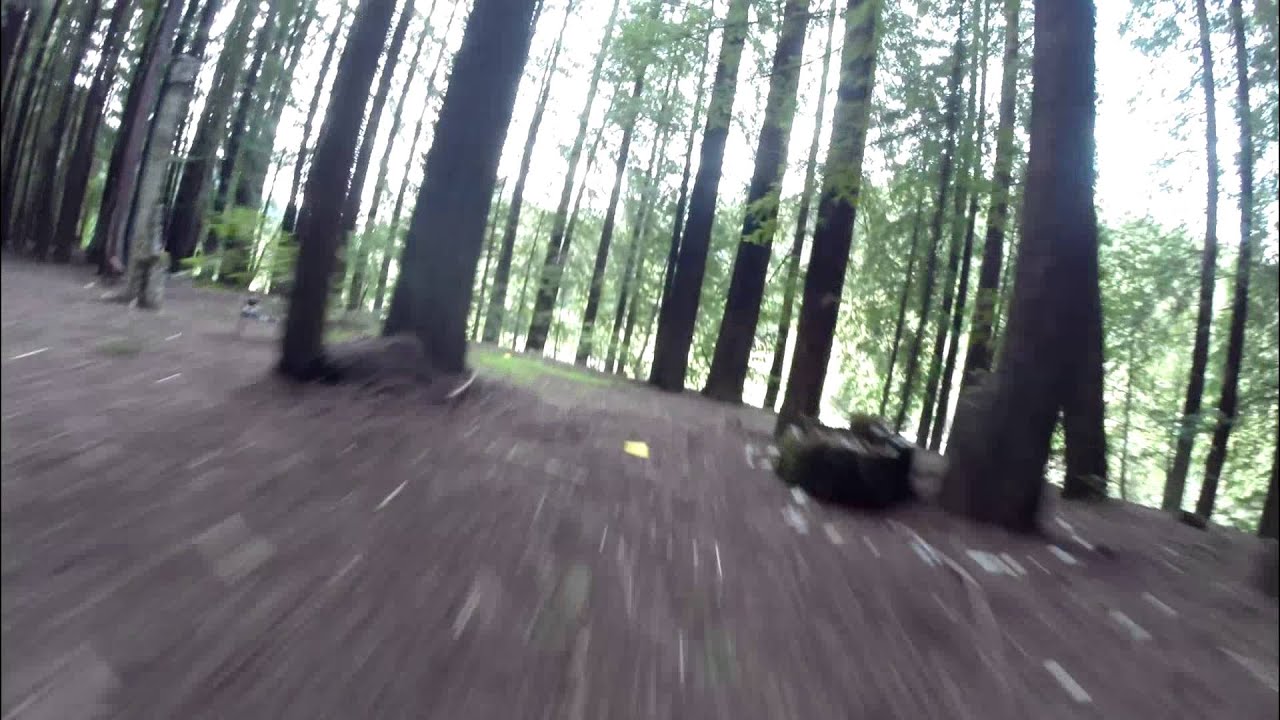 Drone Racing Practice in Redwoods