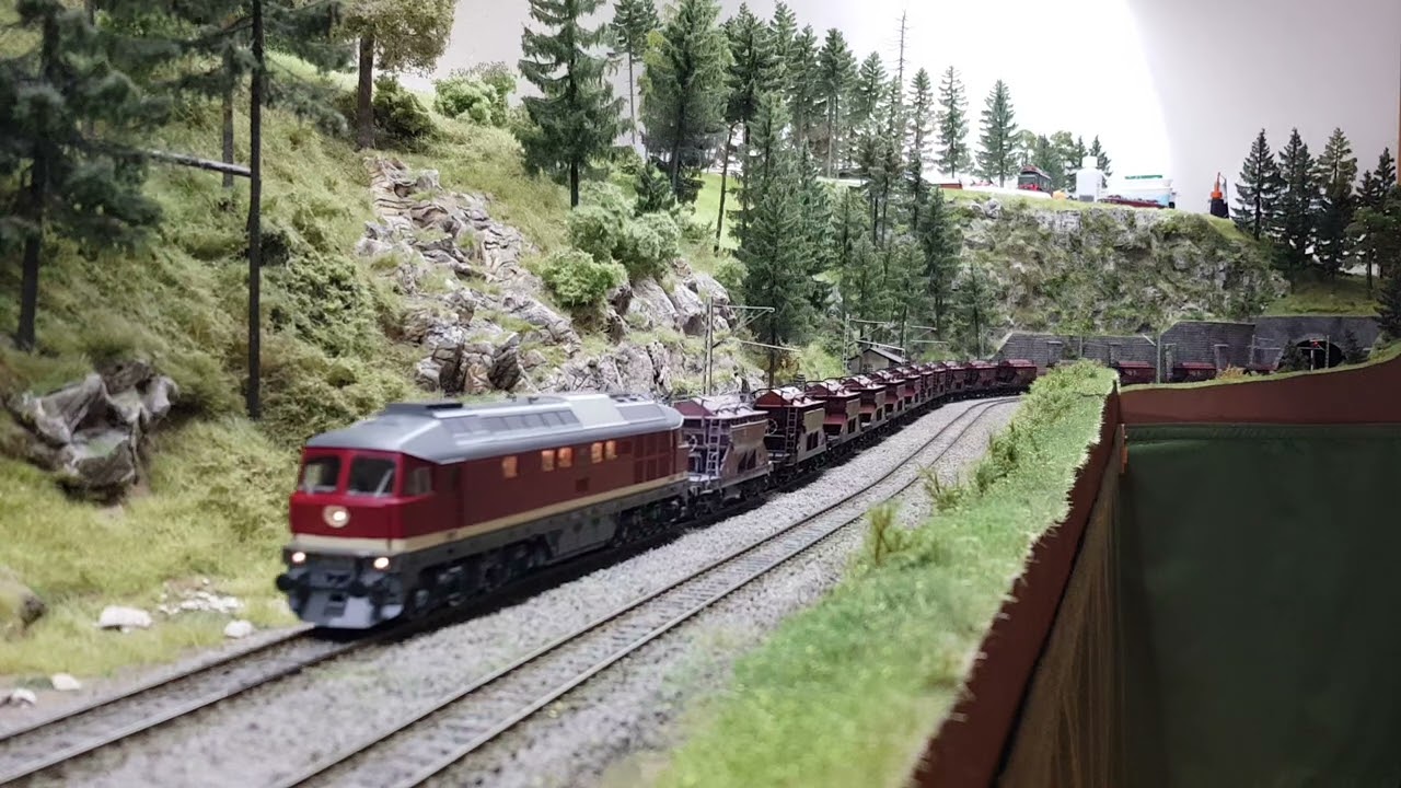 BR132 164-5 DR Ludmilla kämpft mit schwerer Last.