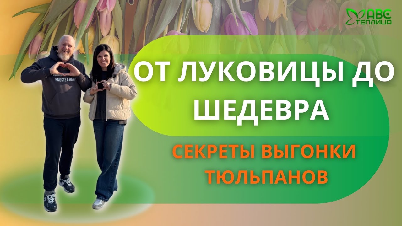 Идеальные Тюльпаны 2025 : как справиться с дефицитом луковиц и повысить урожай.
