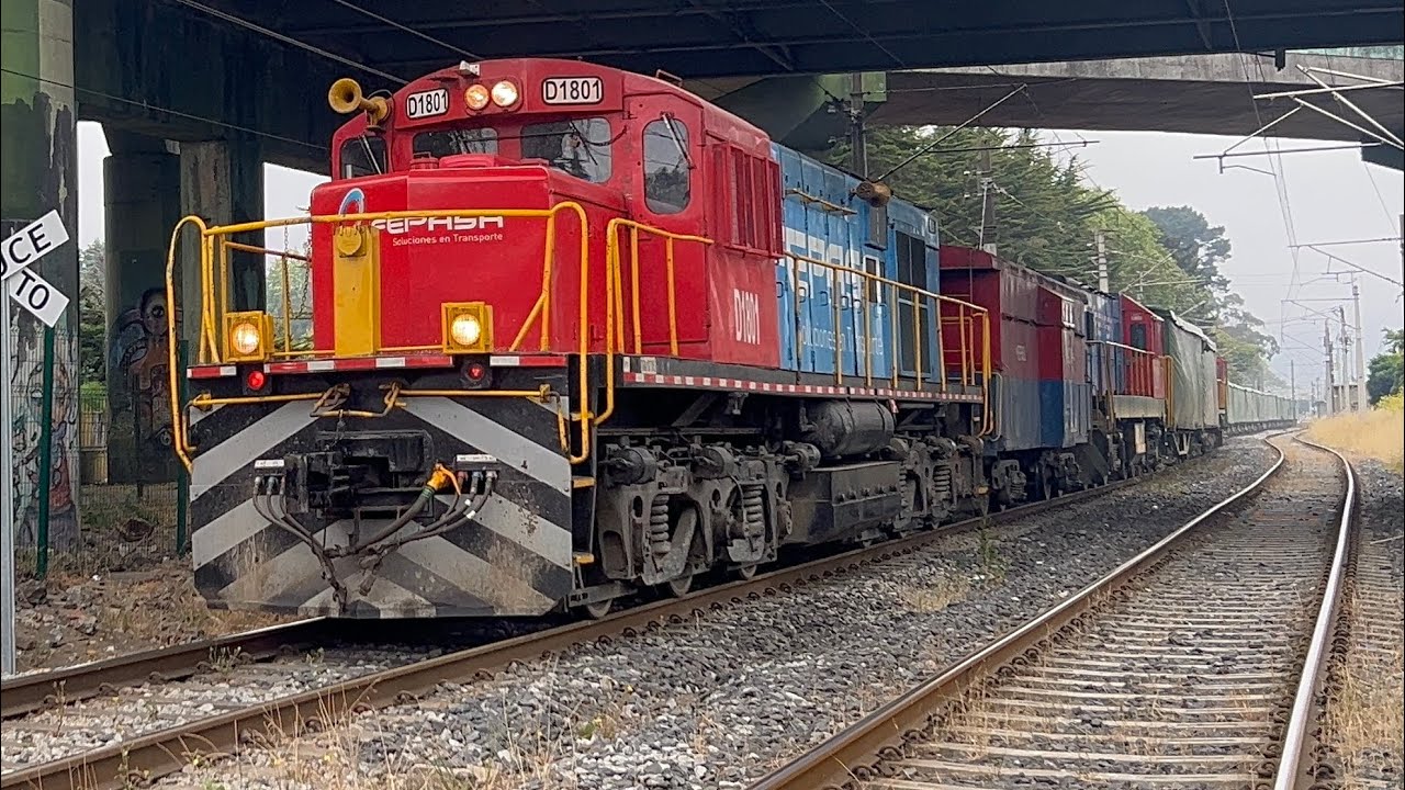 Trenes por el BIO BIO 