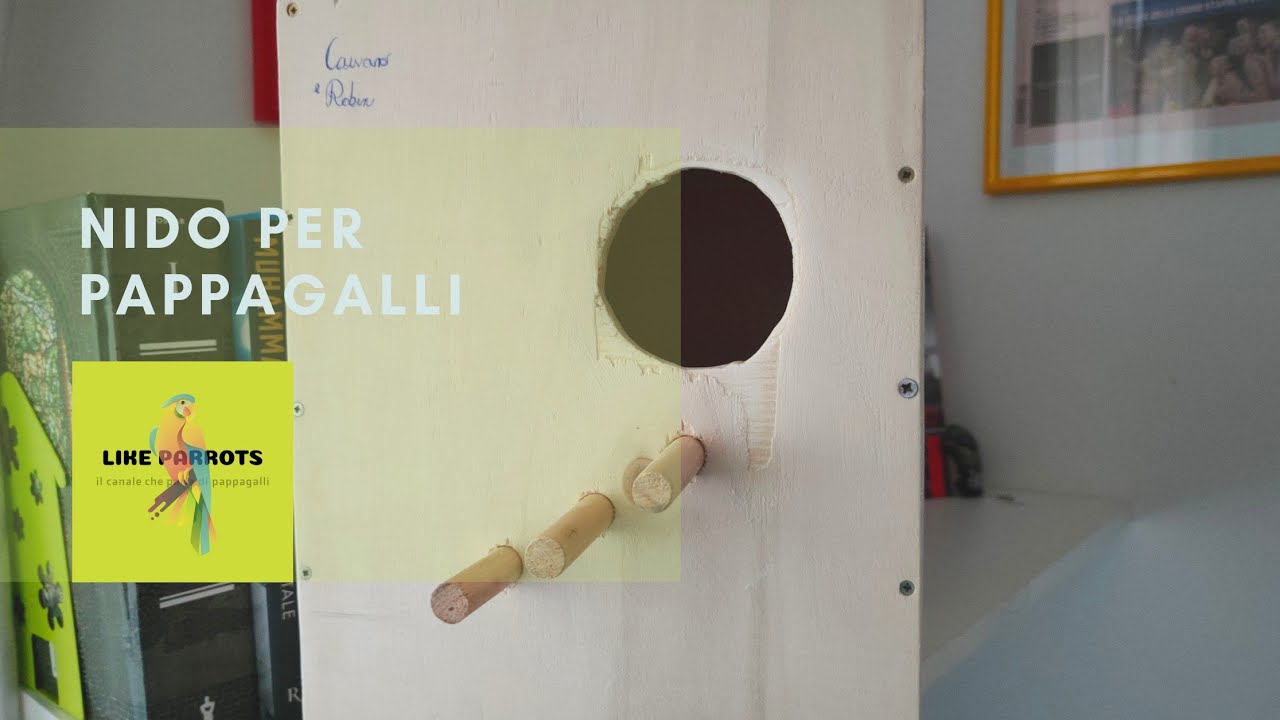 NIDO per PAPPAGALLI - CALOPSITE ( Bricolage ) 