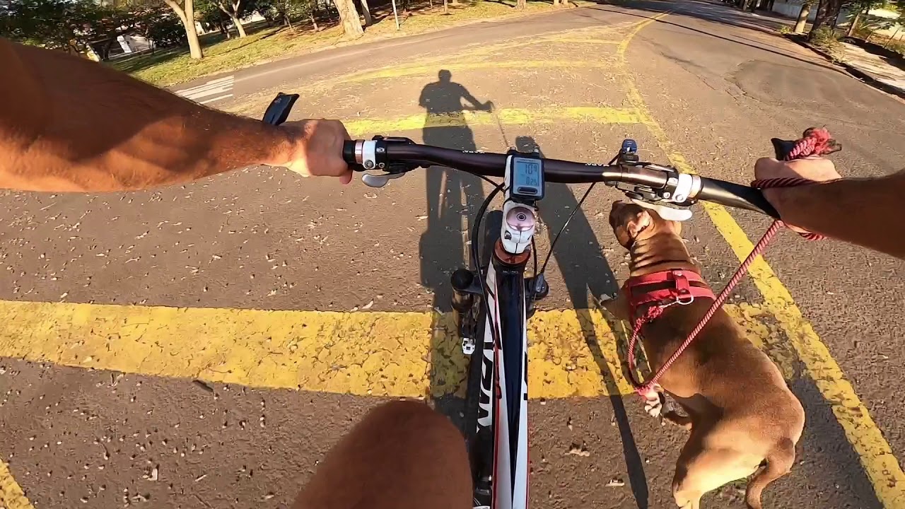 Damasco Puxando A Bicicleta + Caminhada + Corrida