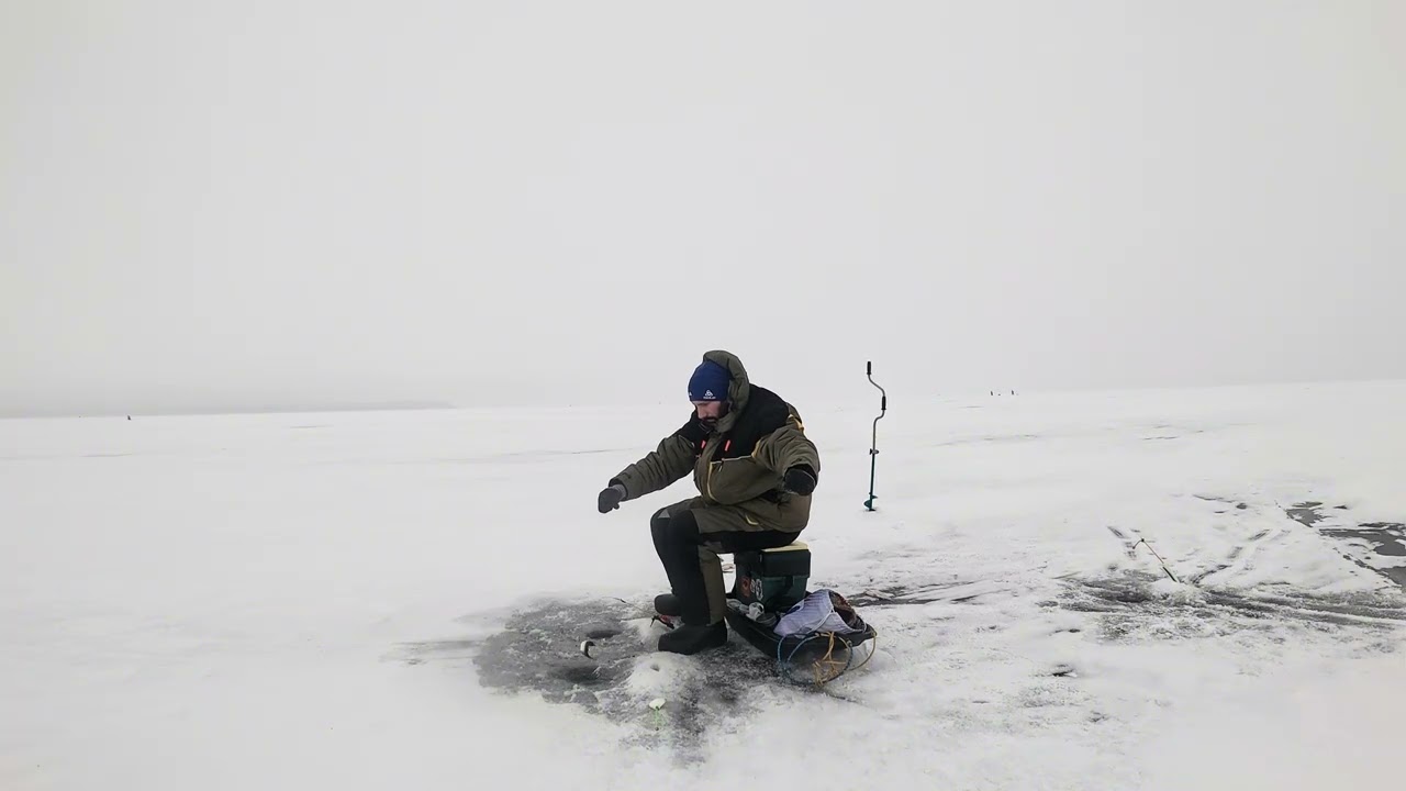 Сестрорецк. 18.01.26.
