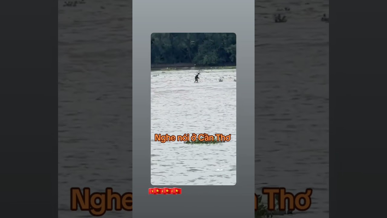 Ae Cần thơ x&aacute;c minh xem c&oacute; sự việc n&agrave;y kh&ocirc;ng &agrave;h #viral #youtube #vuinhon  #xuhuongyoutube