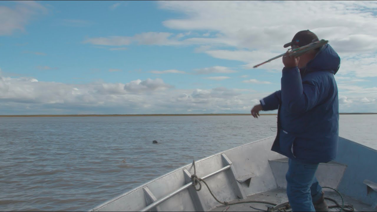 Kings of The Yukon: An Update