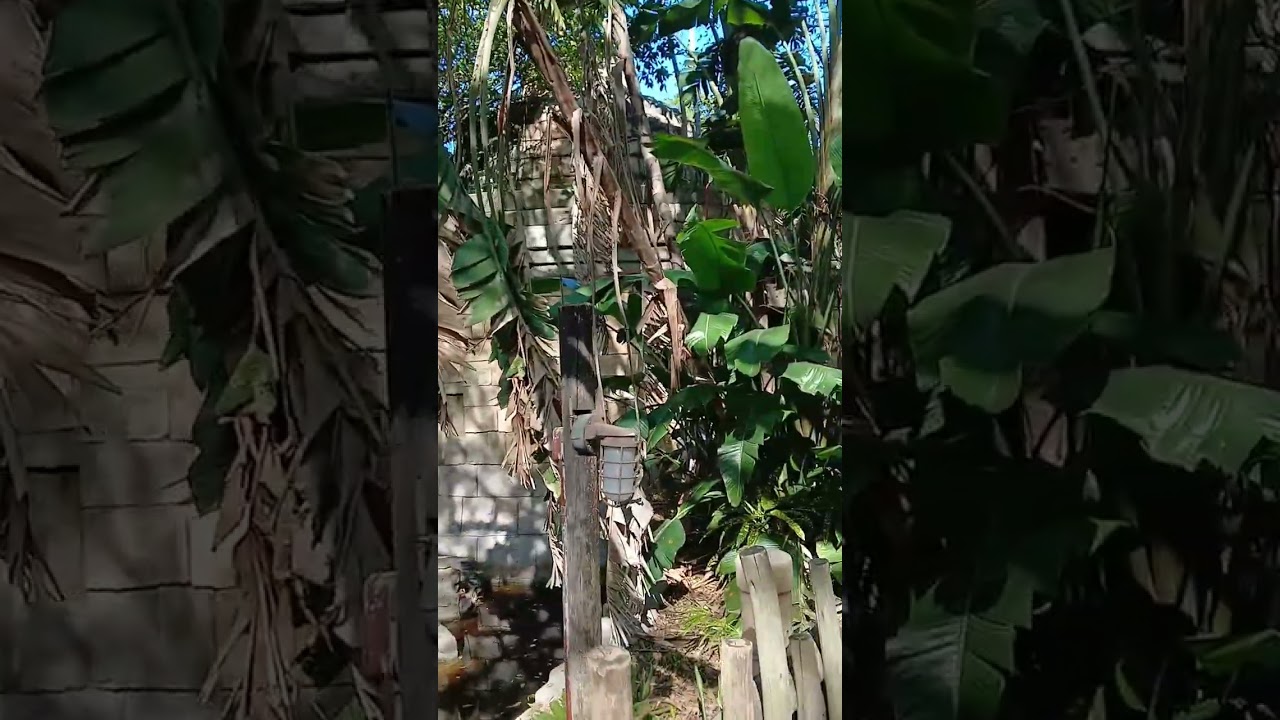 Nuestra visita al zoológico de west palm beach 