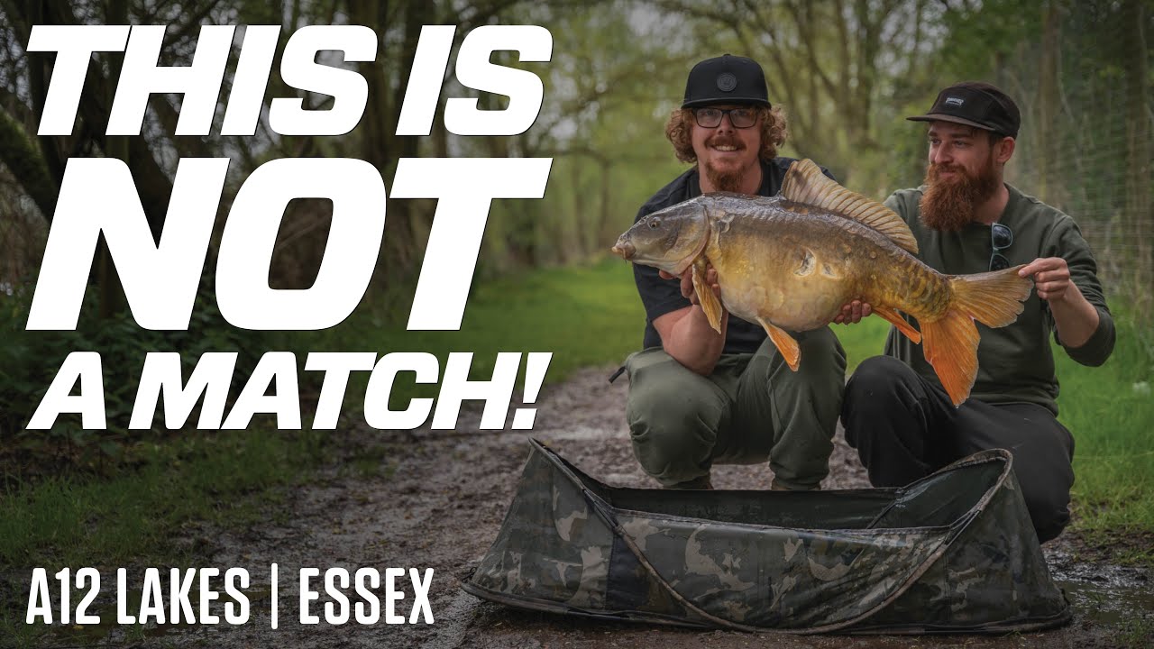 This is NOT a Carp Match! 24hrs Carp Fishing On A12 Lakes