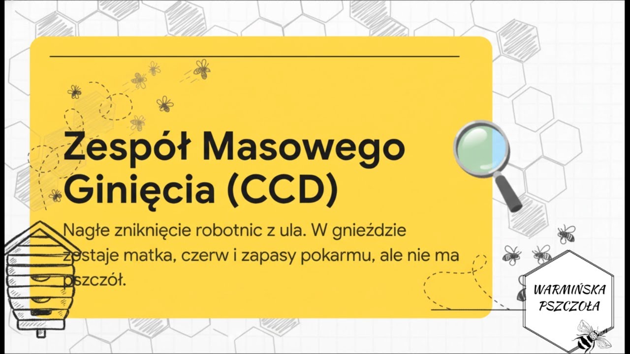 2. CCD