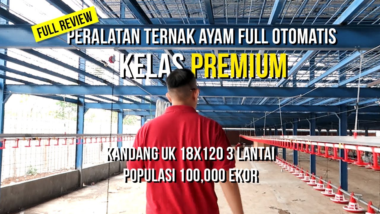 FULL REVIEW!!! Peralatan Ternak Ayam Otomatis KELAS PREMIUM merk  Pristine Glory!