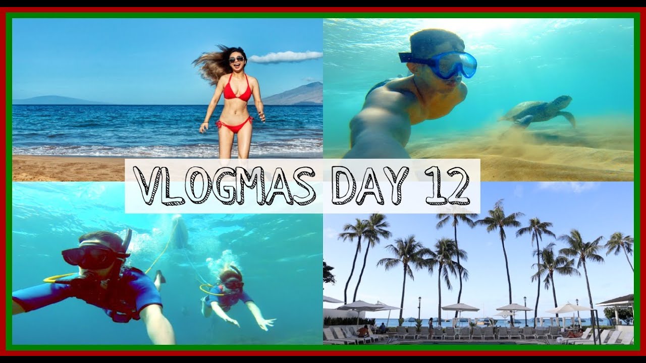VLOGMAS DAY 12 | 居然跟海龜游泳了！！深淺看海底、更好吃的蝦餐