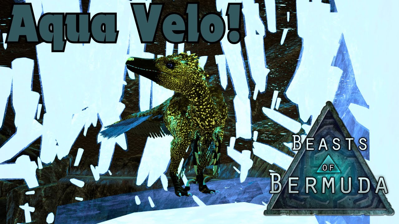 AQUA VELOCIRAPTOR On The Official Servers