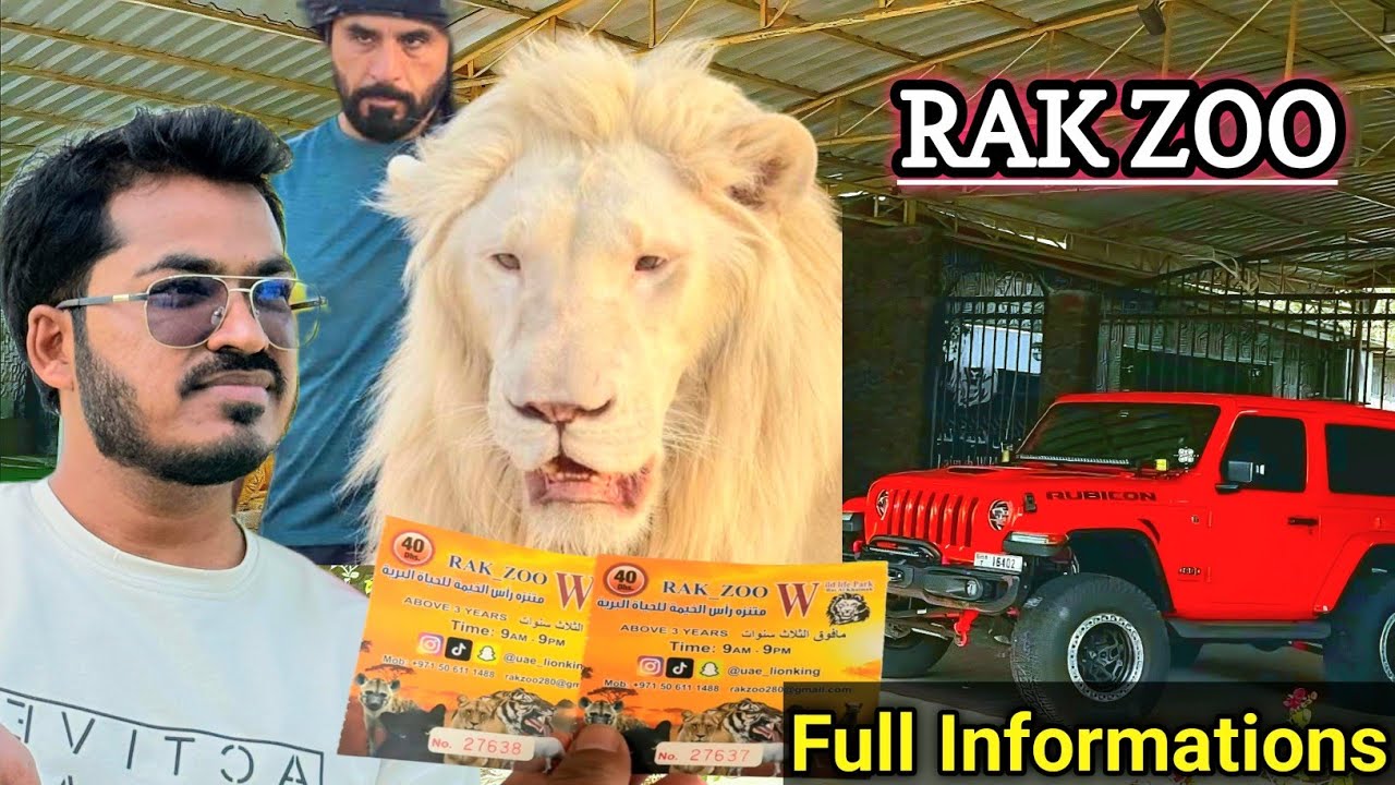 Hidden Gem in UAE: Ras Al Khaimah Zoo Full Tour 🐅🇦🇪.