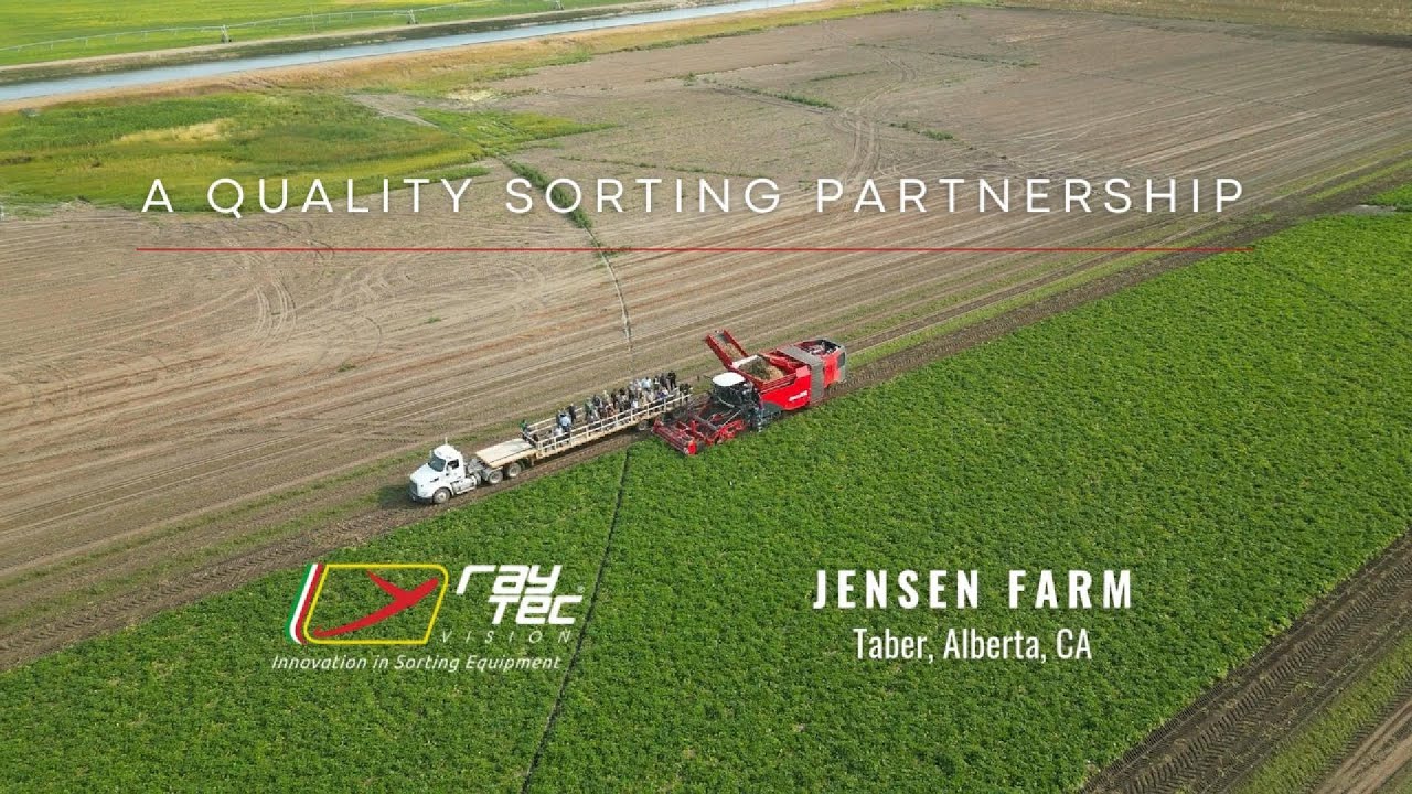 RAYTEC VISION SpA & Jensen Farm: a quality partnership for potato sorting