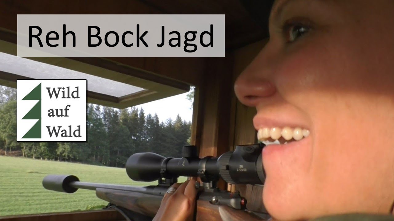 🦌Bockjagd: Endlich hat es geklappt! #wildaufwald