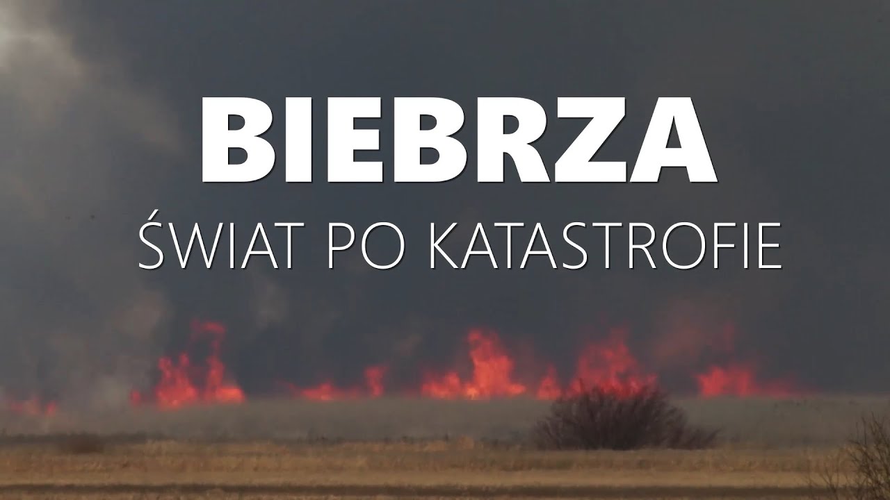 Biebrza – świat po katastrofie