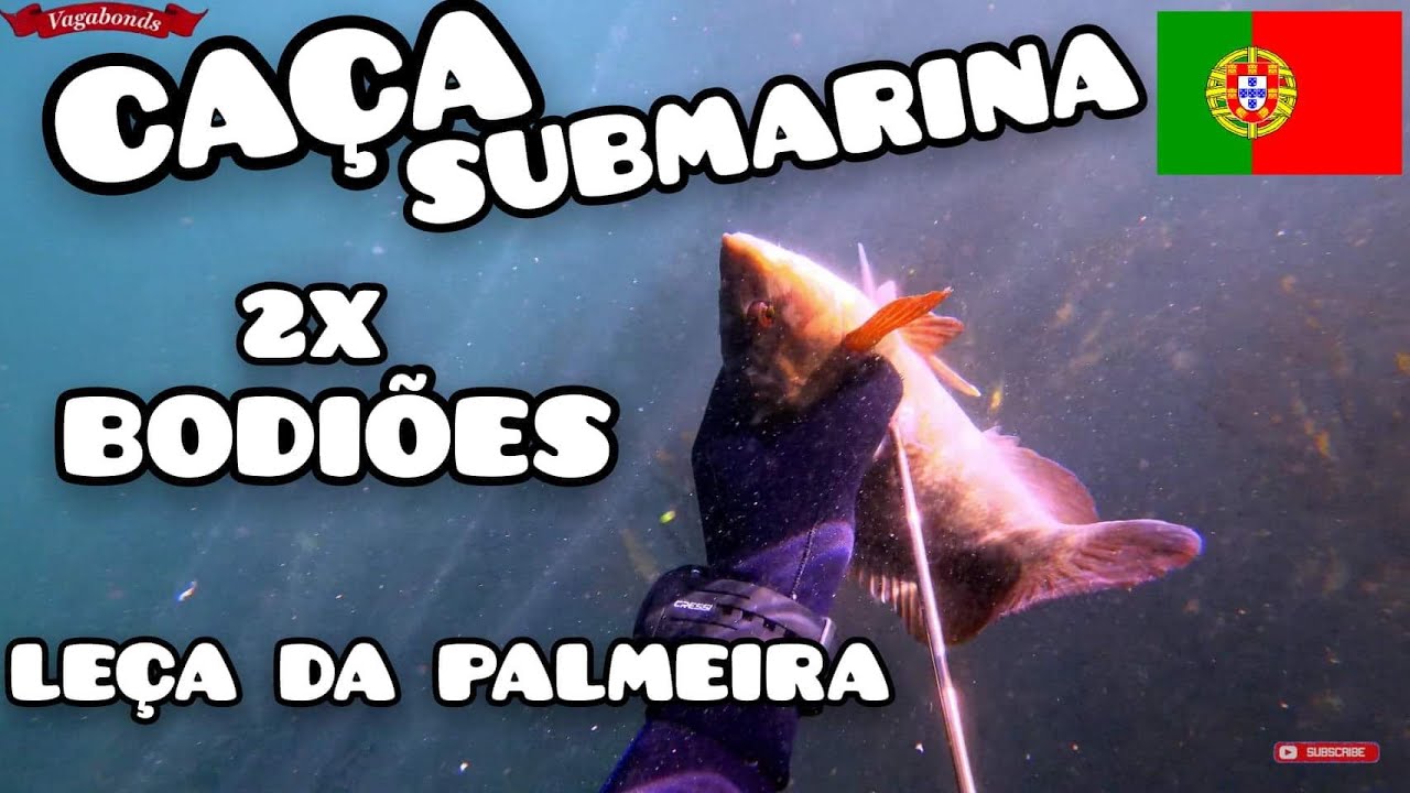 Ca&ccedil;a Submarina | 2x BODI&Atilde;O e PNEUS | Spearfishing Le&ccedil;a da Palmeira