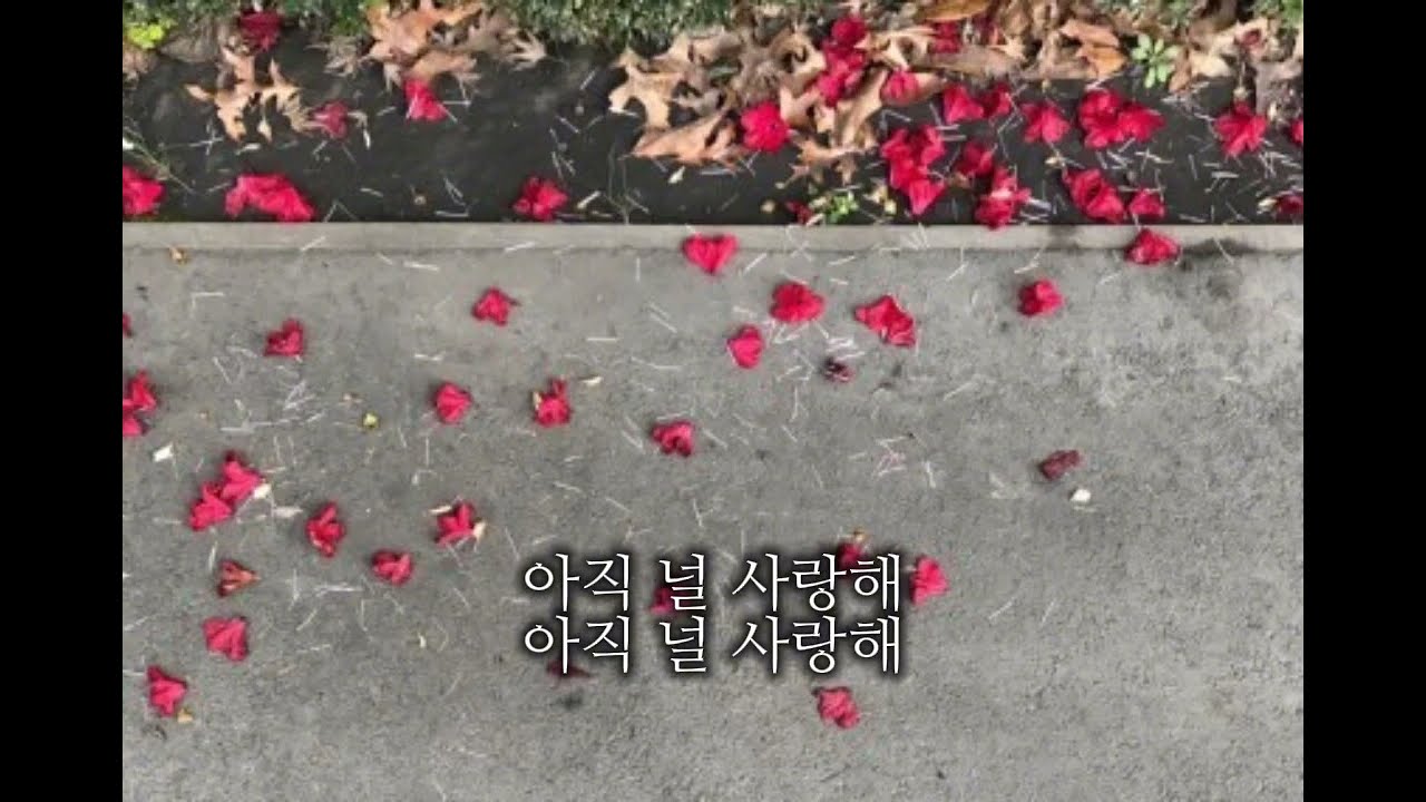 늦은 후회  | 🎵 침묵