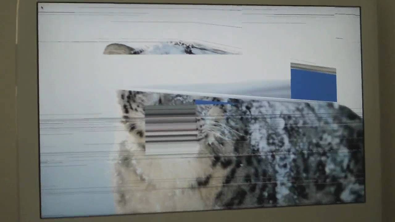 Late 2006 iMac graphics problem, system freezes