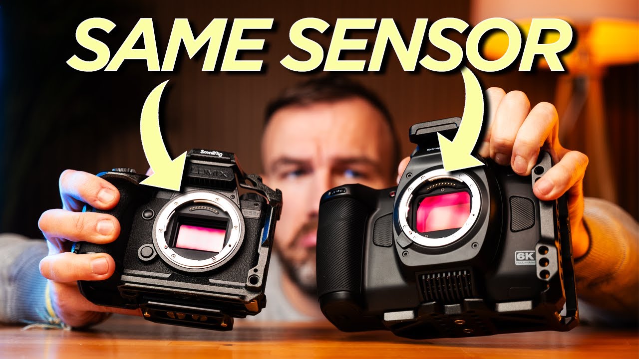 SAME SENSOR = SAME IMAGE QUALITY? // Lumix S5 II X vs. Blackmagic Cinema Camera 6K