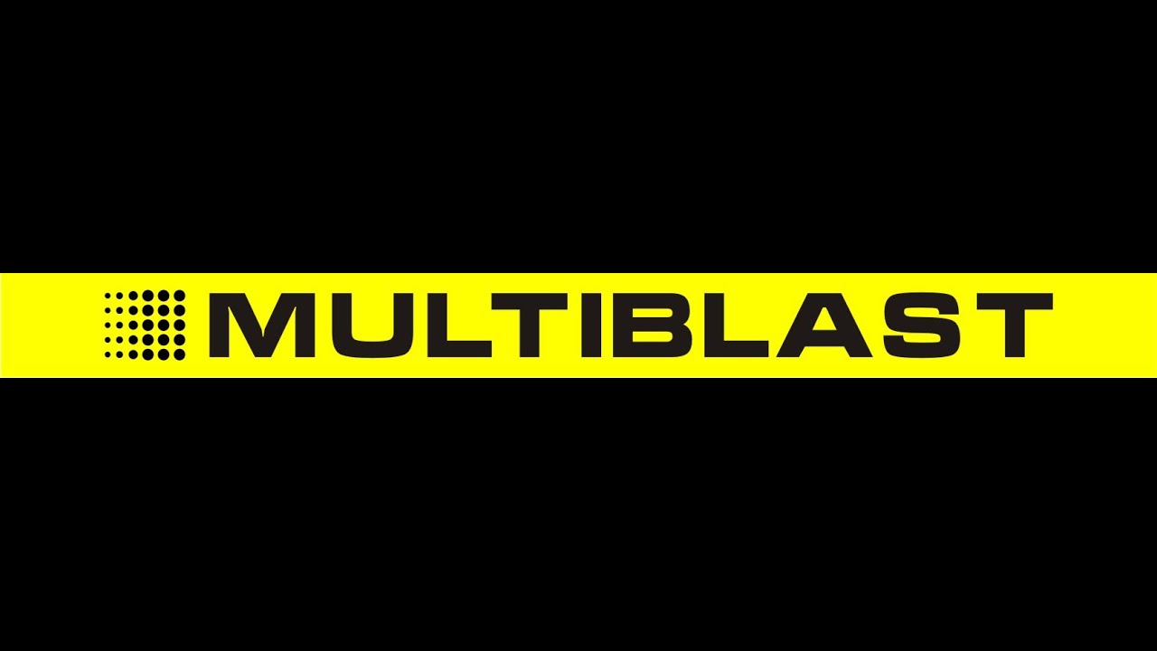 Инструкция MULTIBLAST и примеры работы