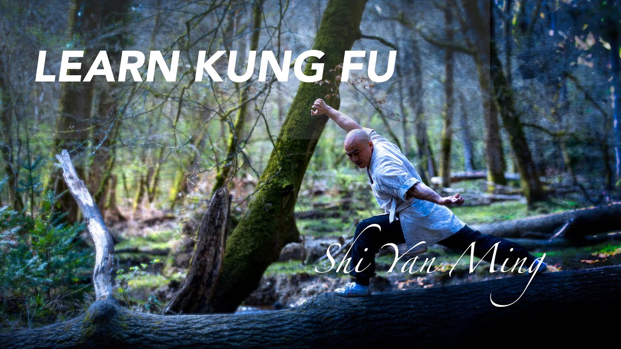 Learn Kung Fu Online | Qi Xing Quan Class 2 | Seven Star Fist | Free Kung Fu Classes | Live Kung Fu
