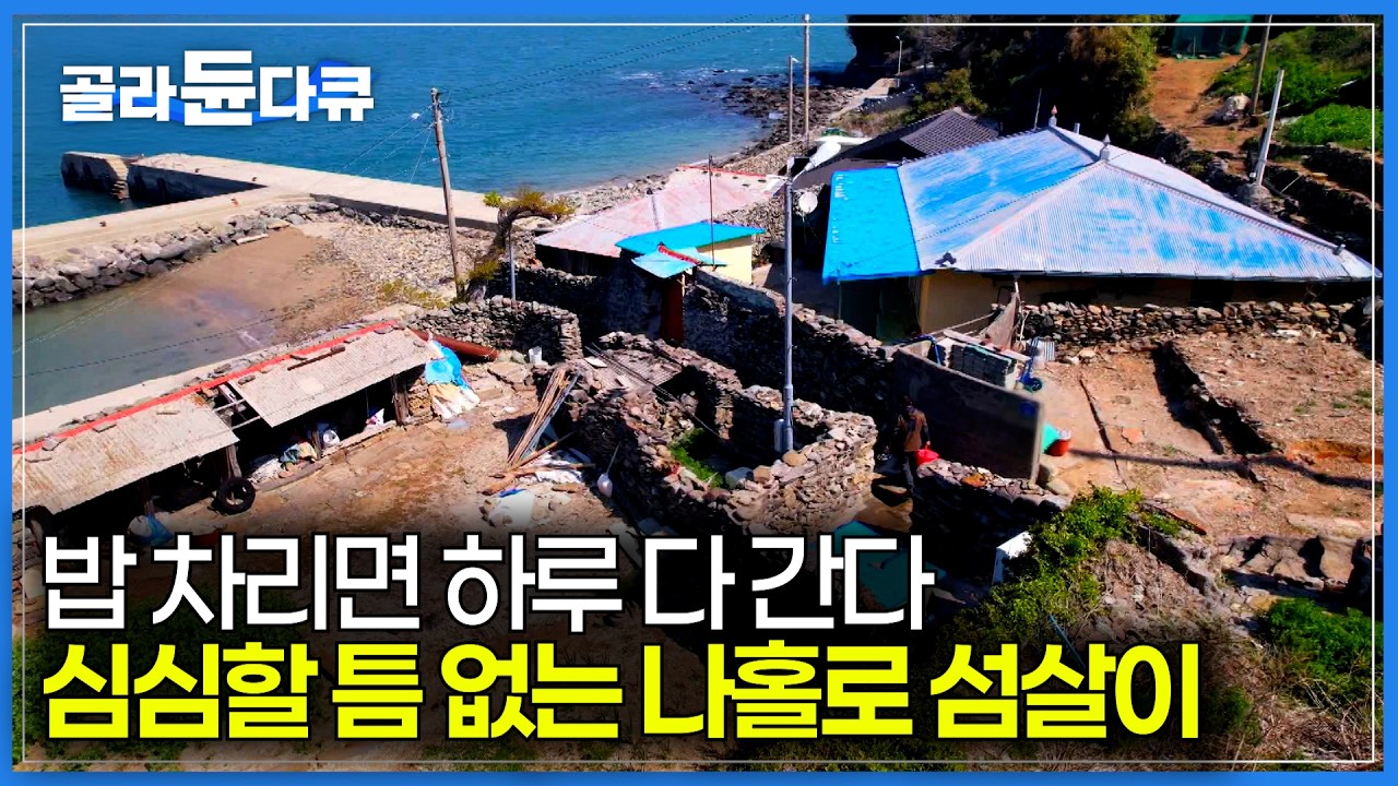 11가구 살던 고향 섬이 무인도가 됐다｜3년 만에 고향 섬에 돌아와 사는 남자｜삼시세끼 차리다 보면 하루가 다 간다는 나홀로 섬살이｜한국기행｜#골라듄다큐