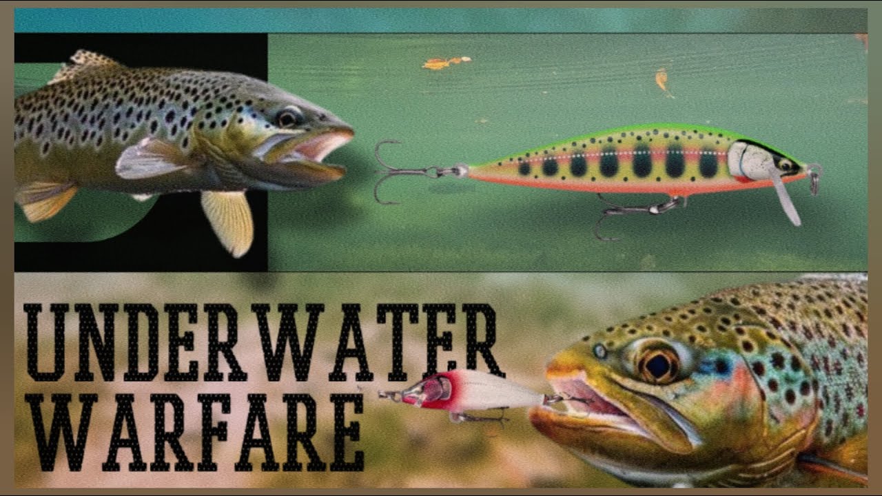 Attractive Bait Testing Scenes Mix Video