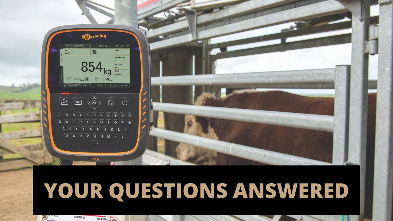 Gallagher Expert Q&A (Tag Reader & Weigh Scale)