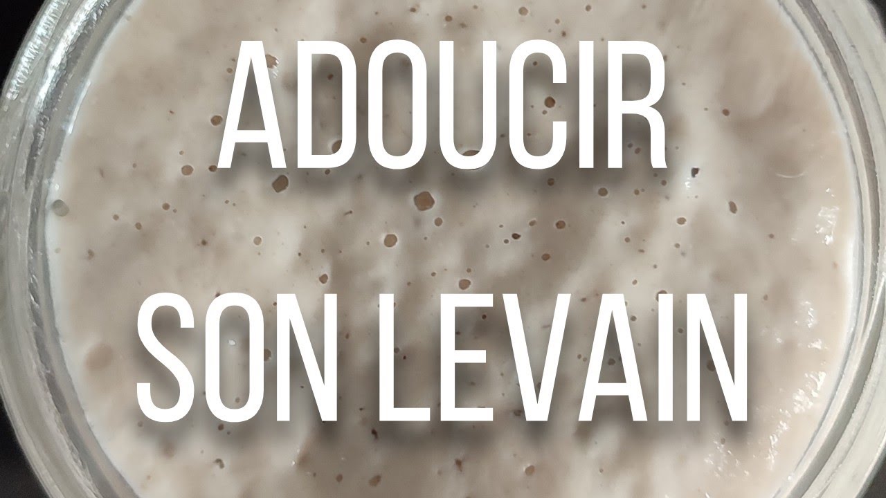 🍕 Comment ADOUCIR son LEVAIN NATUREL ❓ 153/365