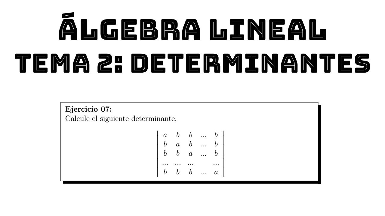ejercicio 07 calculo de determinantes algebra lineal tema 2 determinantes