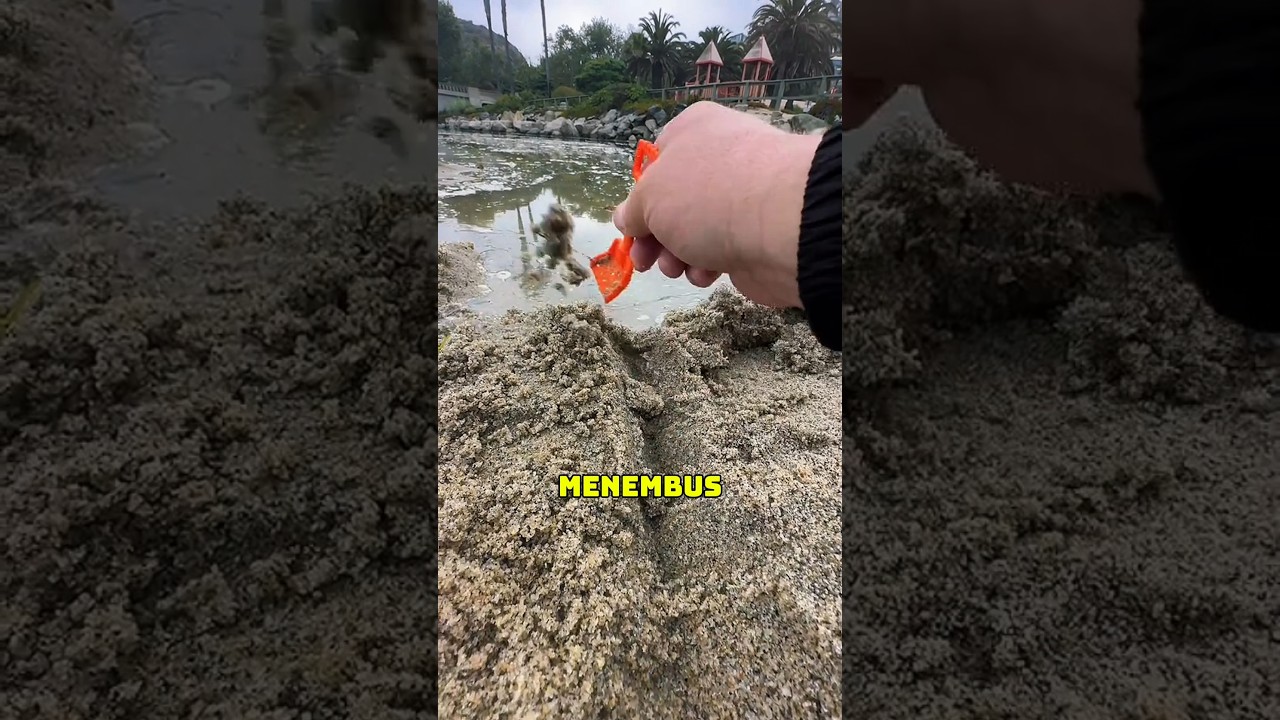 Sekop Kecil Ini Picu Banjir Besar‼️🤯