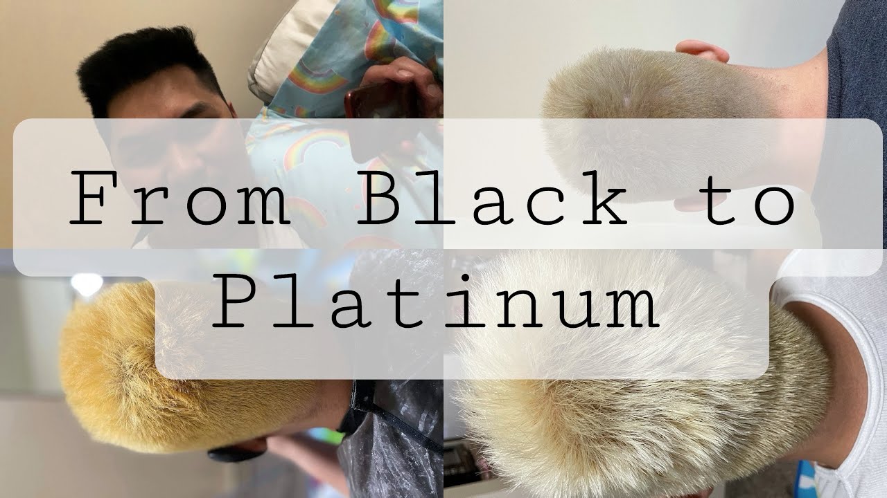 DIY Black to Blonde at home -Part 1 Wella Blondor Pale Silver Toner